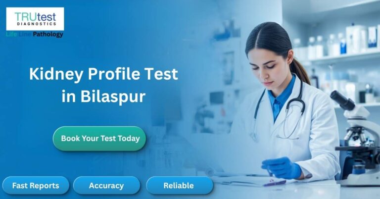 Kidney Profile Test in Bilaspur at Life Line Pathology Near CIMS Bilaspur
